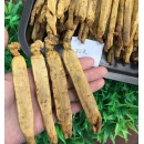 100% Best Asian Panax Korean Red Ginseng Root Highest quality , 6years old